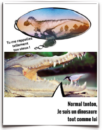 Dino-actuels_croco