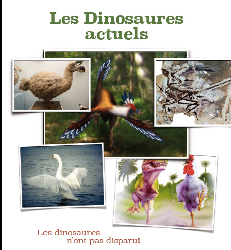Dino_actuels_couverture