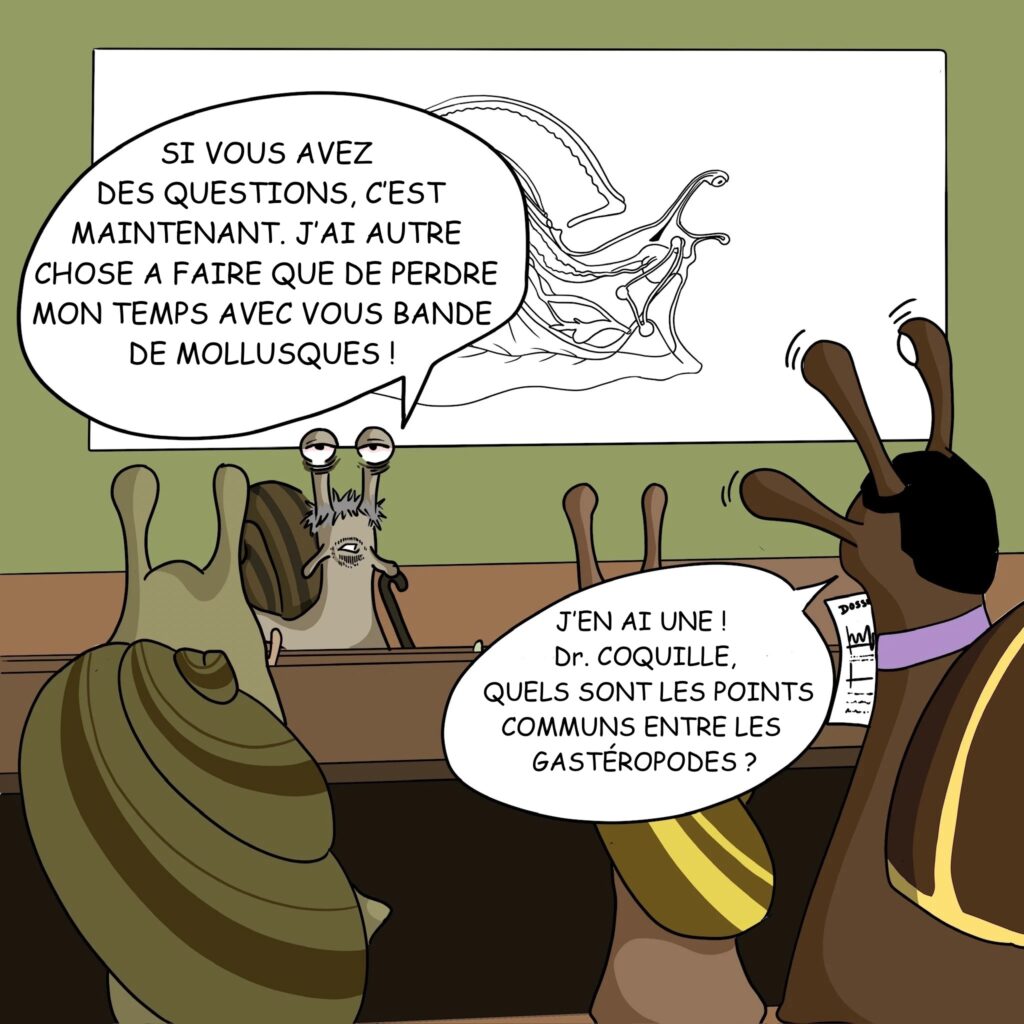 Case 13: Dr. Coquille Si vous avez des questions c’est maintenant. J’ai autre chose à faire que de perdre mon temps avec vous bande de mollusques! Dr. Foresnail J’en ai une! Dr. Coquille, quels sont les points communs entre les gastéropodes ? 