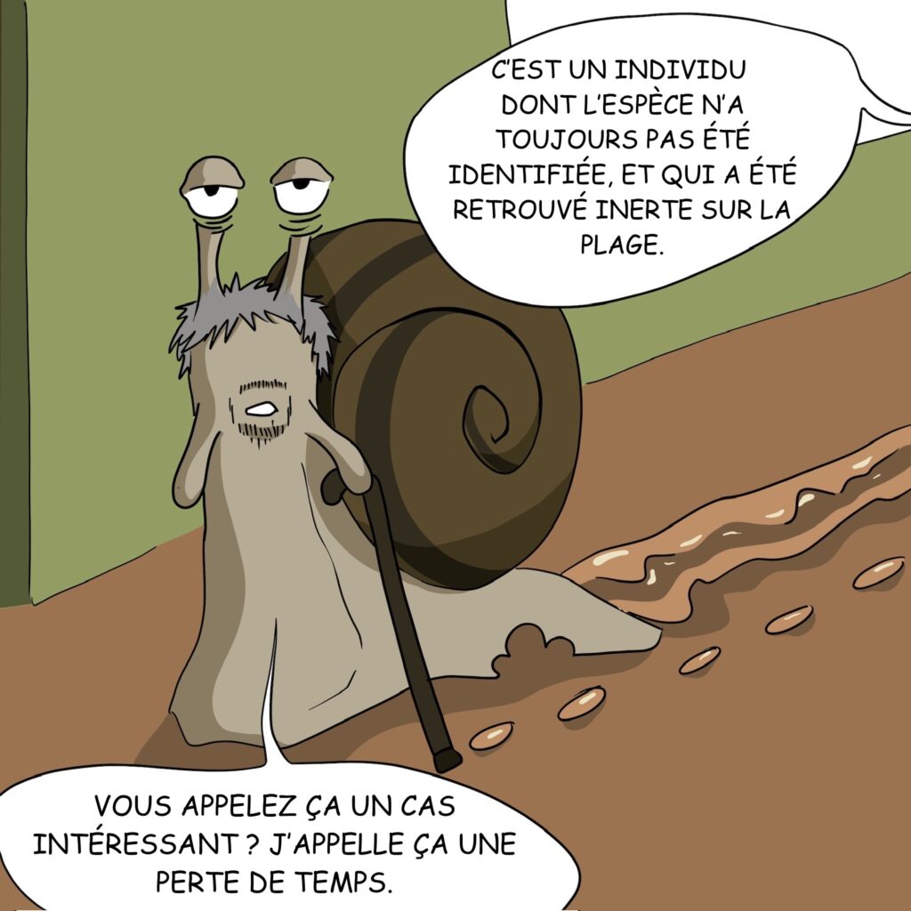 Case 18: Dr. Coquille sort difficilement de la salle. Dr. Foresnail C’est un individu dont l’espèce n’est toujours pas identifiée et qui a été retrouvé inerte sur la plage. Dr. Coquille Vous appelez ça un cas intéressant ? J’appelle ça une perte de temps. 