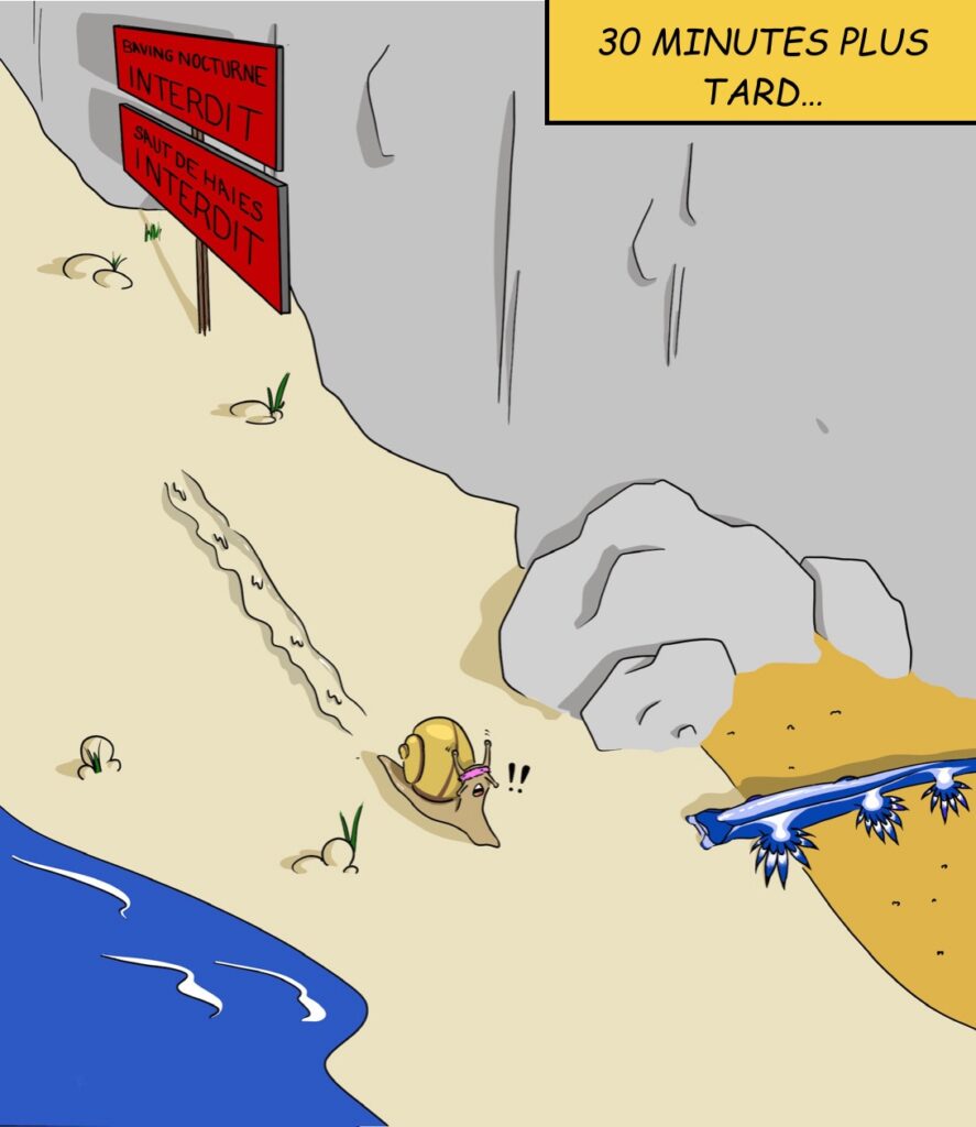 Case 2: “30 minutes plus tard” Un escargot des haies fait son baving sur une plage de galet. Il arrive à un amas de rocher et crie de stupeur en se rendant compte qu’un être vivant inerte est caché derrière . 