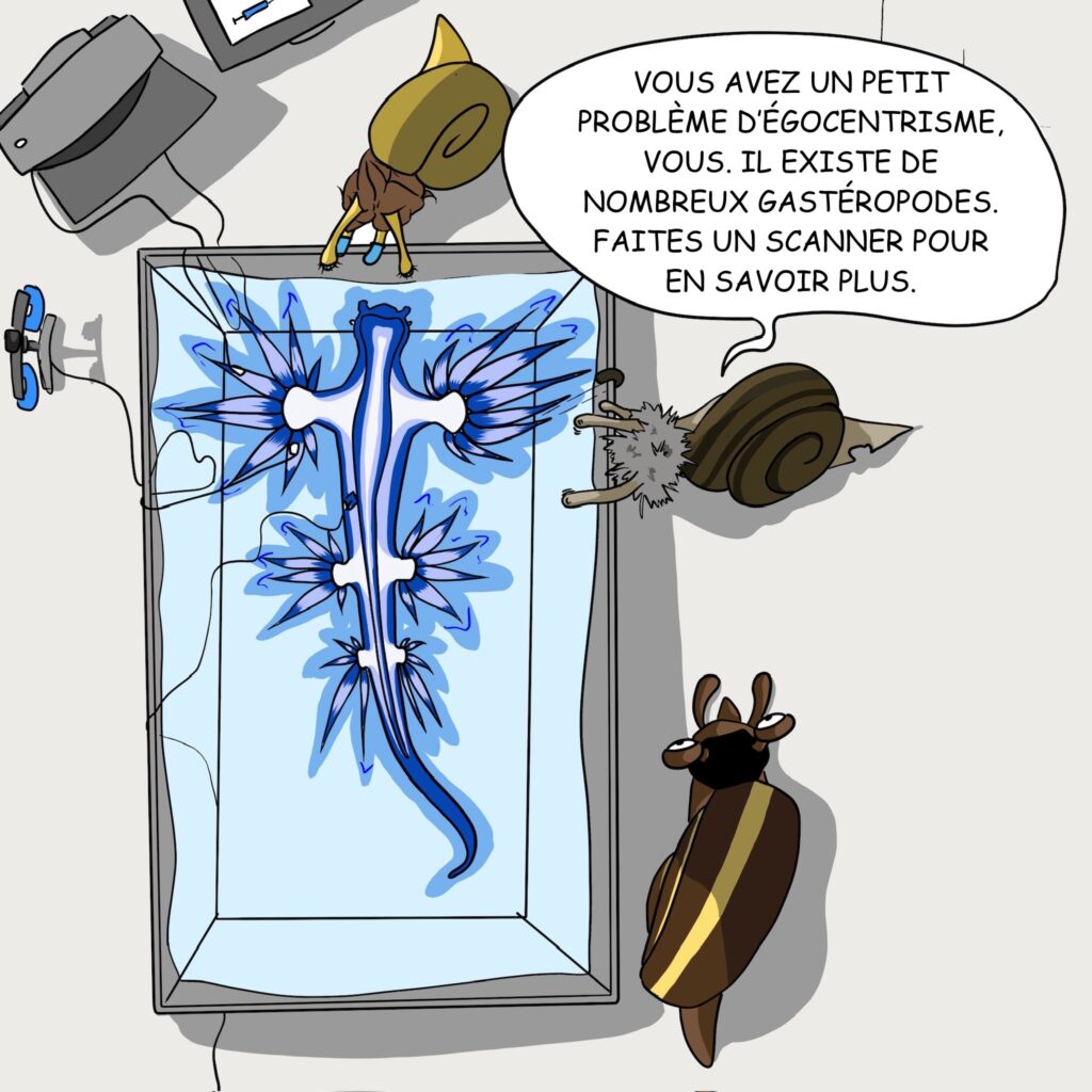 Case 21: Le Dr. Coquille examine son corps. Dr. Coquille Vous avez un petit problème d’égocentrisme, vous. Il existe de nombreux gastéropodes. Faites un scanner pour en savoir plus. 