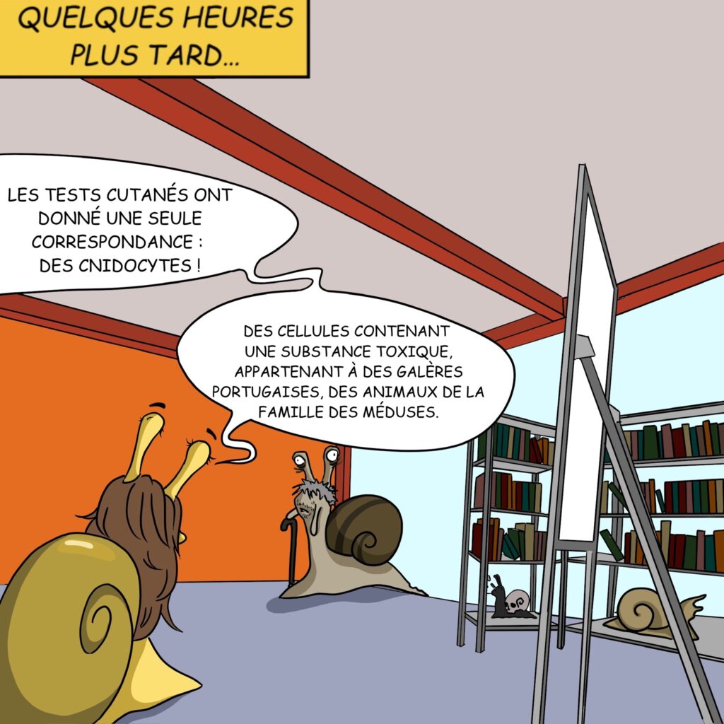 Case 25: Le Dr. Gasteron entre . “Quelques heures plus tard” Dr. Gasteron Les tests cutanés ont donné une seule correspondance : des cnidocytes ! Des cellules contenant une substance toxique appartenant à des Galères Portugaises, des animaux de la famille des méduses. 