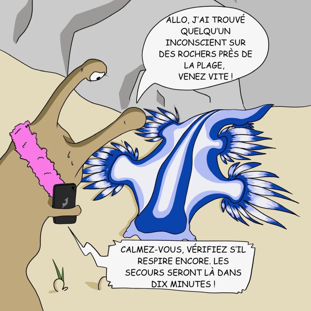 Case 3: Il appelle les secours: Coureur Allo, j’ai trouvé quelqu’un d’inconscient sur des rochers près de la plage, venez vite ! Interlocuteur des secours Calmez-vous, vérifiez s’il respire encore, les secours seront là dans 10 minutes ! 