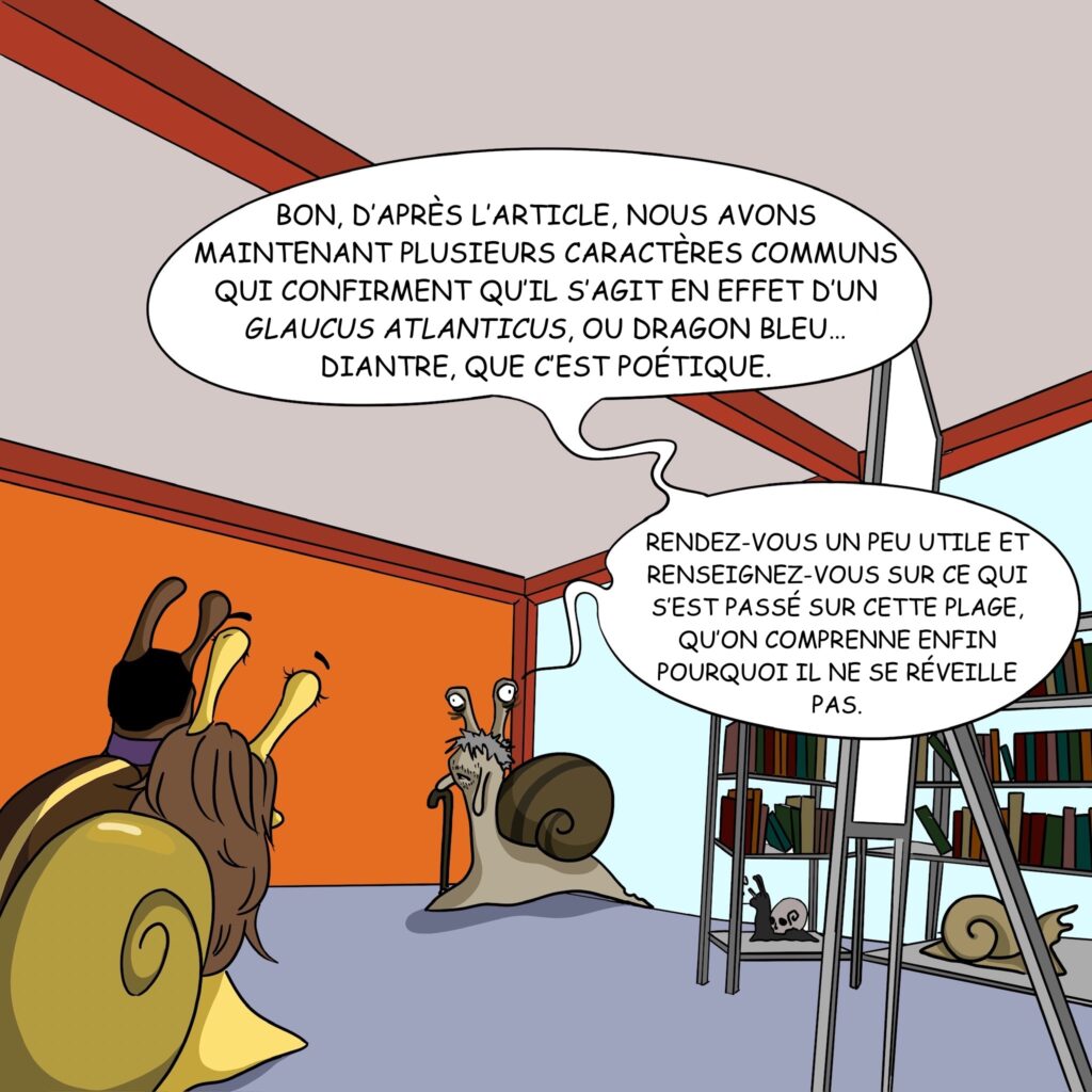Case 31: Dr. Coquille Bon, d’après l’article on a maintenant plusieurs caractères communs qui confirment qu’il s’agit en effet d’un Glaucus atlanticus, ou Dragon bleu, diantre que c’est poétique… Rendez vous un peu utile et renseignez-vous sur ce qui s’est passé sur cette plage, qu'on comprenne enfin pourquoi il ne se réveille pas. 