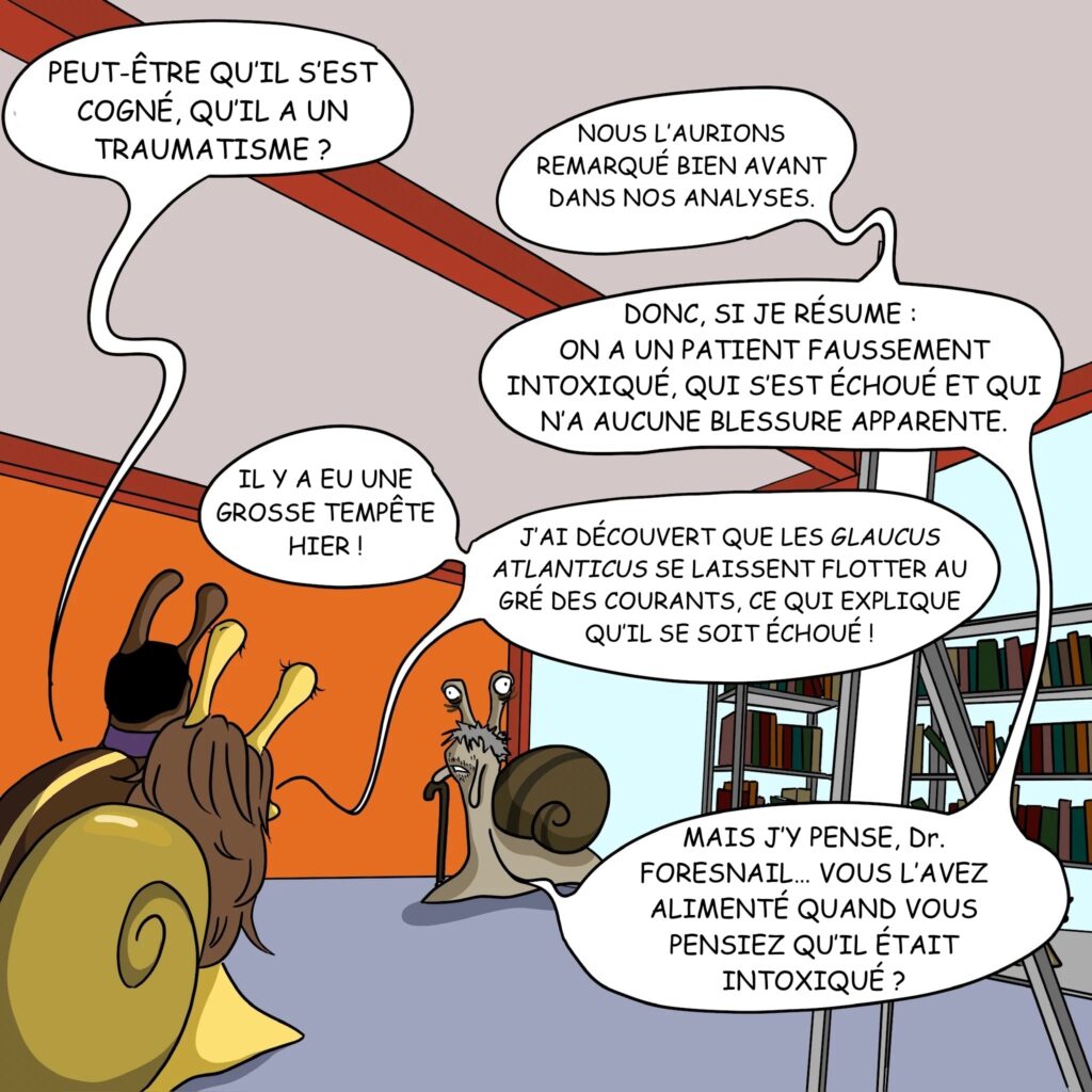 Case 32: Dr. Foresnail Peut-être qu’il s’est cogné, qu’il a un traumatisme ? Dr. Coquille Nous l’aurions remarqué bien avant dans nos analyses. Donc si je résume, on a un patient faussement intoxiqué qui s’est échoué et qui n'a aucune blessure apparente. Dr. Gasteron Il y a eu une grosse tempête hier ! j’ai découvert que les Glaucus atlanticus se laissent flotter au gré des courants ce qui explique qu’il se soit échoué! Dr. Coquille Mais j’y pense Dr. Foresnail, vous l’avez alimenté quand vous pensiez qu’il était intoxiqué ? 