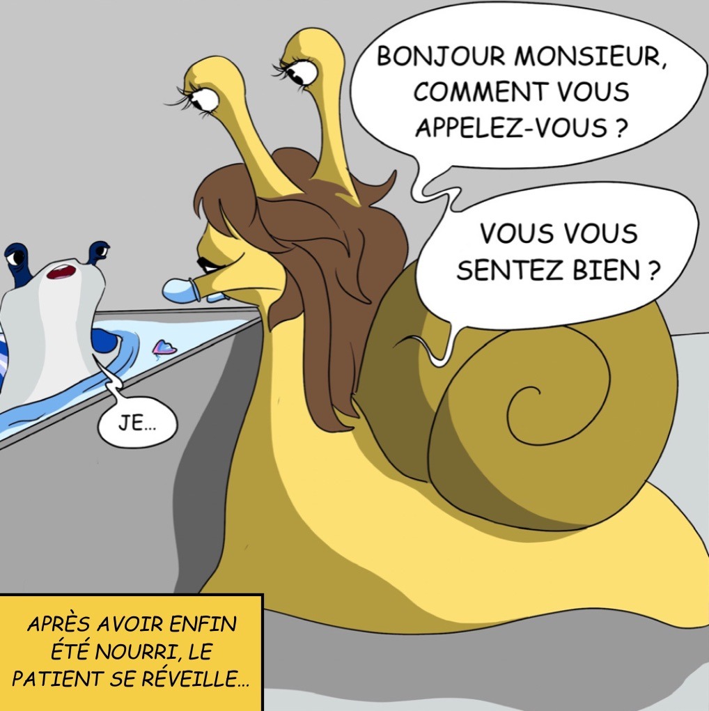 Chambre d’hôpital: Case 35: “Après avoir enfin été nourri, le patient se réveille” dans son aquarium, le Dr. Gasteron lui parle. Dr. Gasteron Bonjour monsieur comment vous appelez-vous ? vous vous sentez bien? Patient Je… 