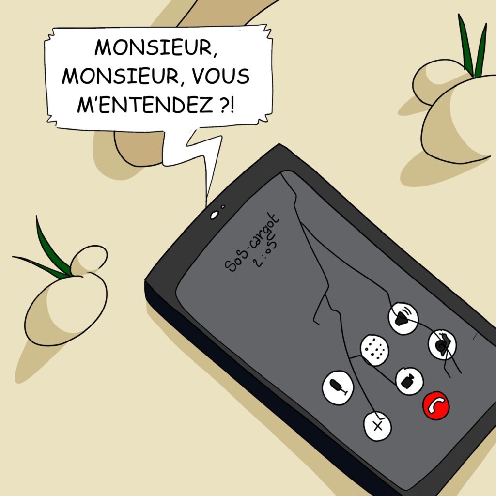 Case 6: Interlocuteur des secours Monsieur, monsieur vous m’entendez ?! 
