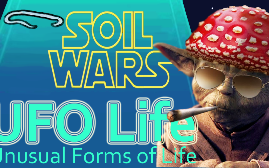 SOIL WARS [UFO_Life]