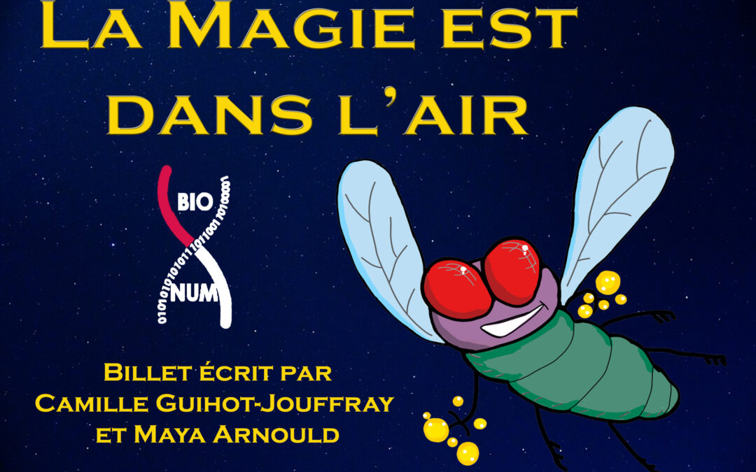 La Magie est dans l’air !