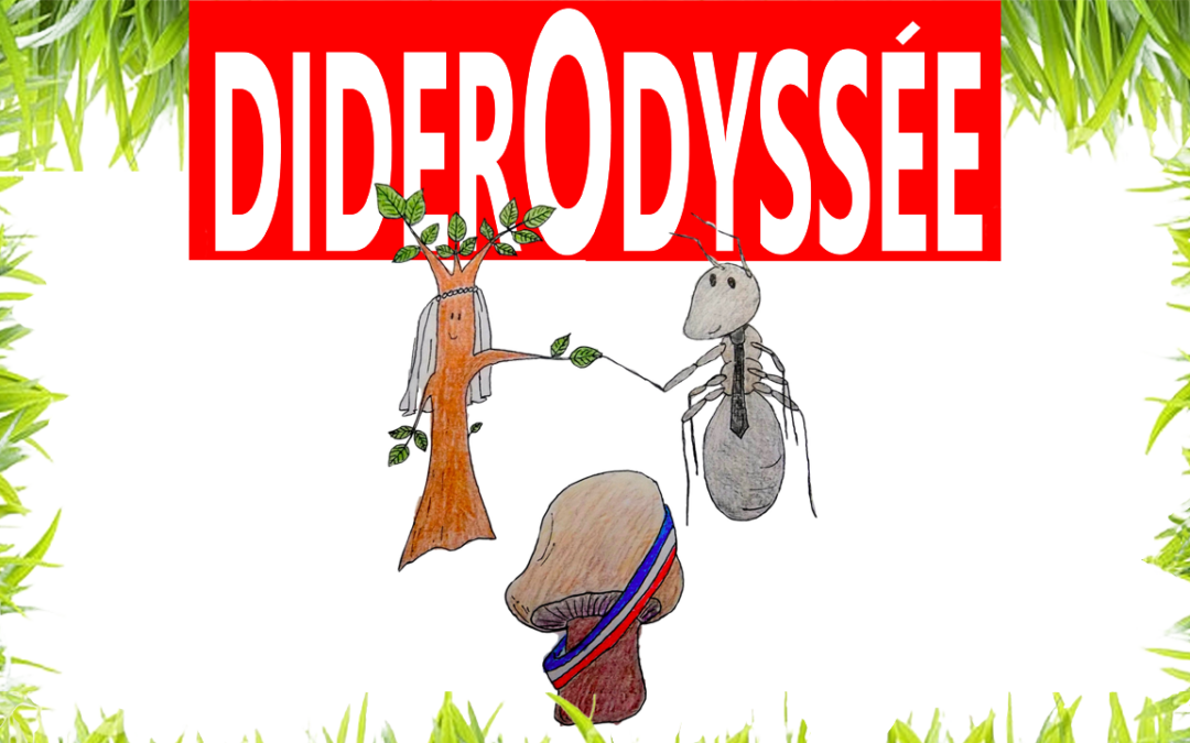 #DiderOdyssée – Desperate Housewives dans le monde des plantes et des insectes