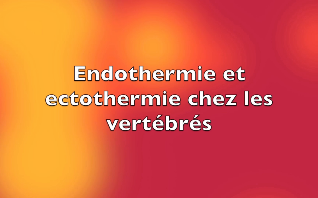 Endothermie et Ectothermie chez les vertébrés – #FantasticaAnimalia