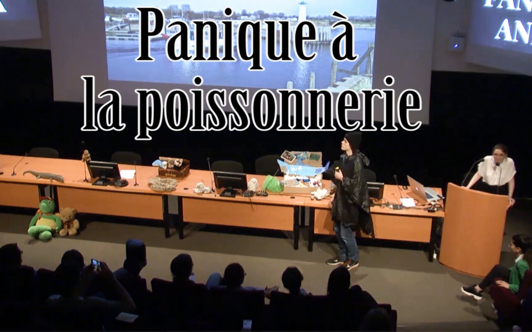 Panique à la poissonnerie – #FantasticaAnimalia