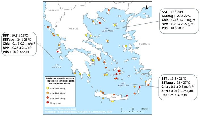 Déclin des herbiers de posidonie : alerte en Méditerranée orientale