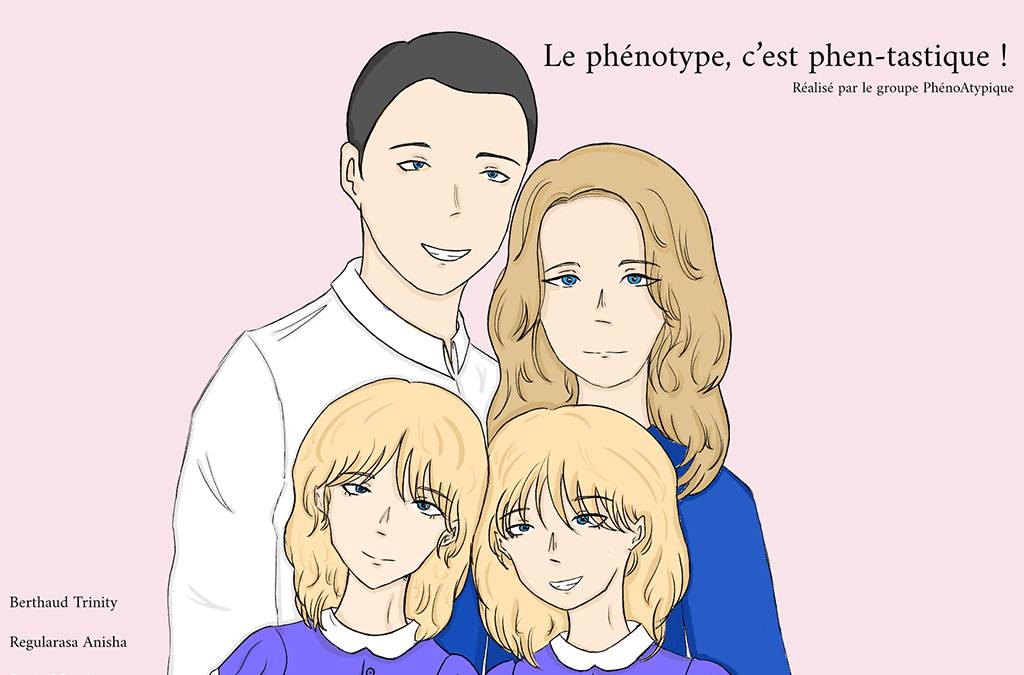 le phénotype, c’est phen-tastique